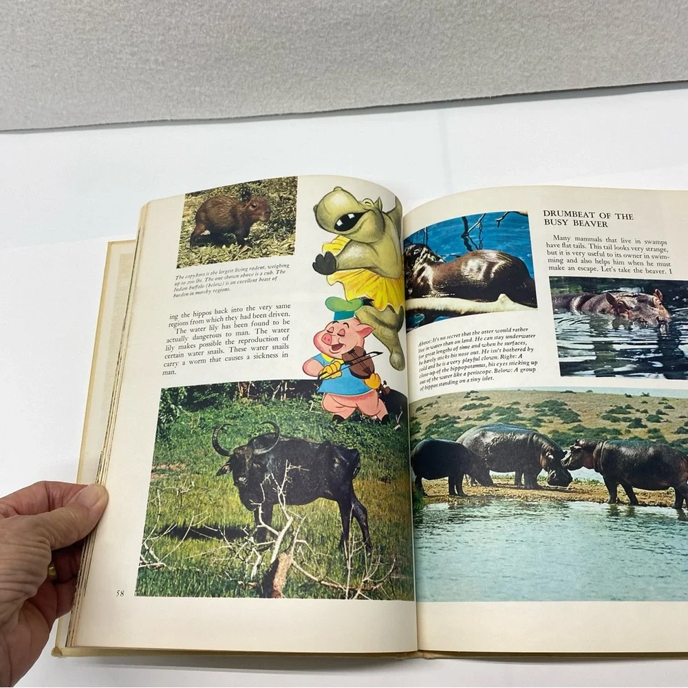 Disney's Wonderful World of Knowledge Book Danbury Press 1971 Hardback Vol 1